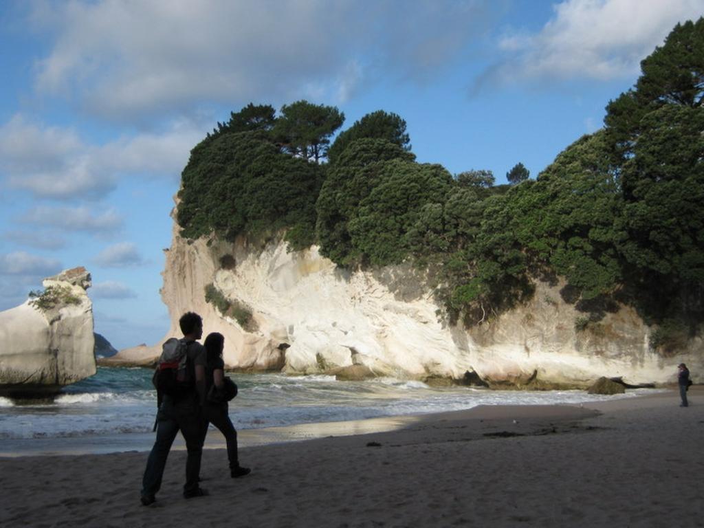 Cathedral Cove Apartment Hahei Ruang foto